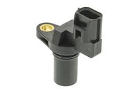 Nokkenassensor