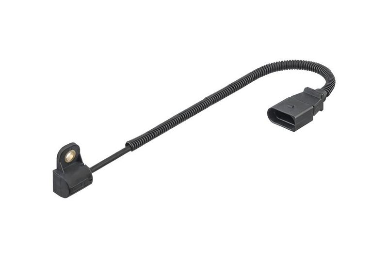 Nokkenassensor