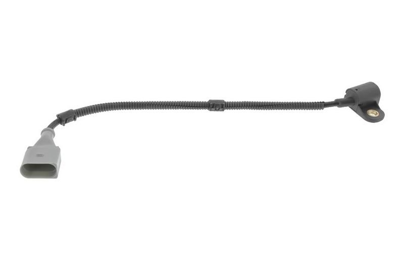 Nokkenassensor