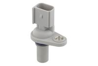 Nokkenassensor