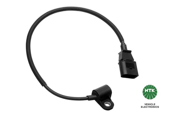 Nokkenassensor