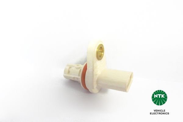 Nokkenassensor