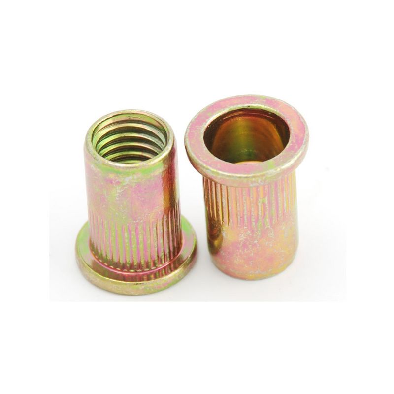Stalen klinkmoeren M4 SET 10 st