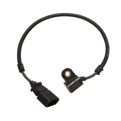 Nokkenassensor